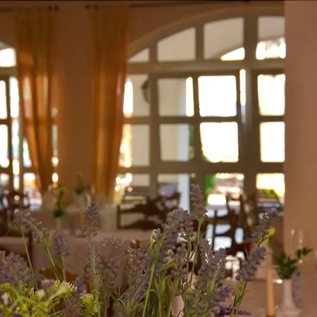 Hotel Landhaus Wörlitzer Hof-3